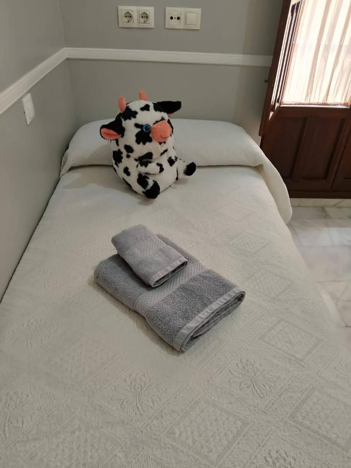 Casa Libelula Blanca Cordoba Daire Dış mekan fotoğraf